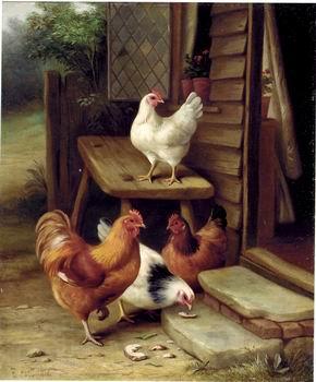 unknow artist Cocks 123 Norge oil painting art